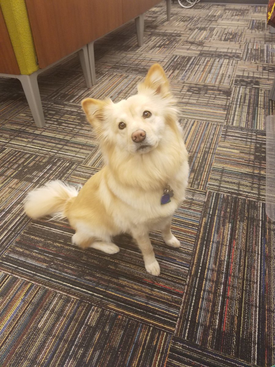 Sarah Klosterbuer tweet media