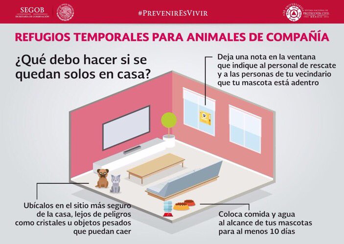 Si trabajas y la mayor parte del tiempo tus mascotas se quedan solas en casa. Conoce cómo hacer un #RefugioTemporal para ellas. ¡Cuídalas!