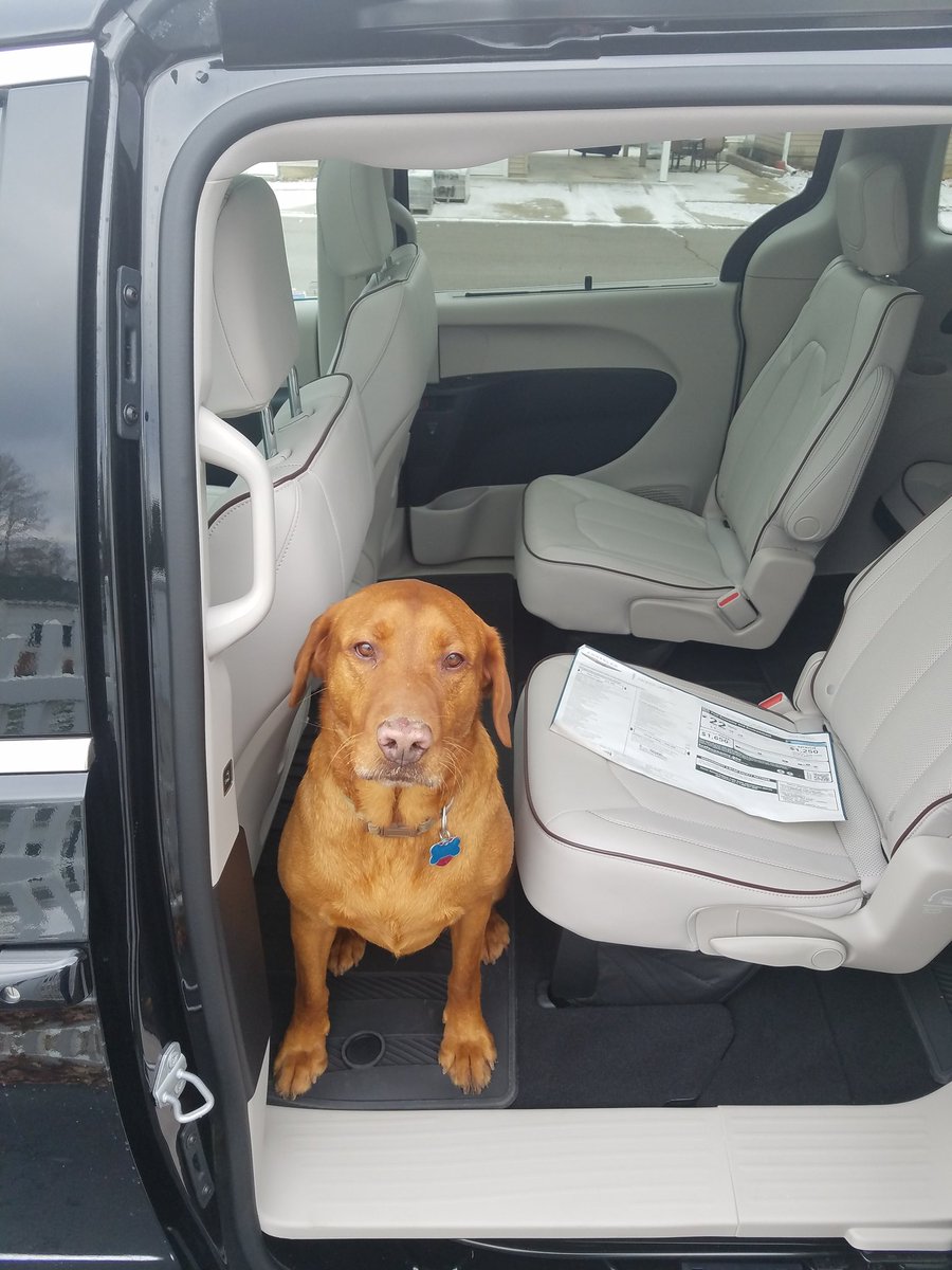 Steve Bode tweet media