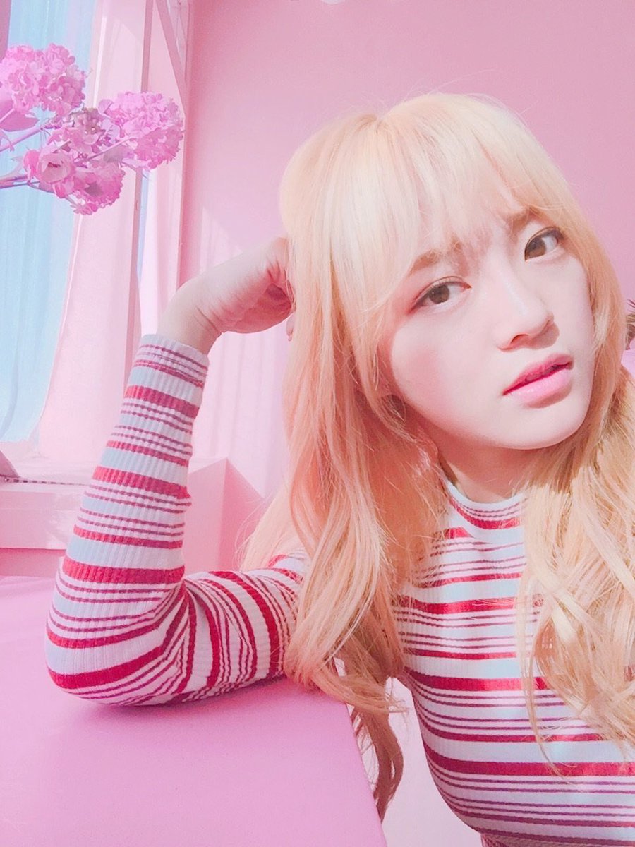 lowqualitygirls's tweet photo. https://t.co/wT9Gf2IIaI
