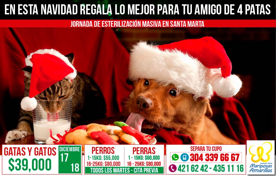 fmariposasa's tweet photo. Seguimos con cupos disponibles para regalarle una gran vida a tu amigo de 4 patas. https://t.co/DCvYTIyo8J