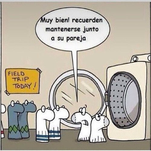 jacky_pajarita's tweet image. :cada que voy a lavar a si mis calcetines #Parejas #Perdidos #Sinpar #OlvideAlgunos