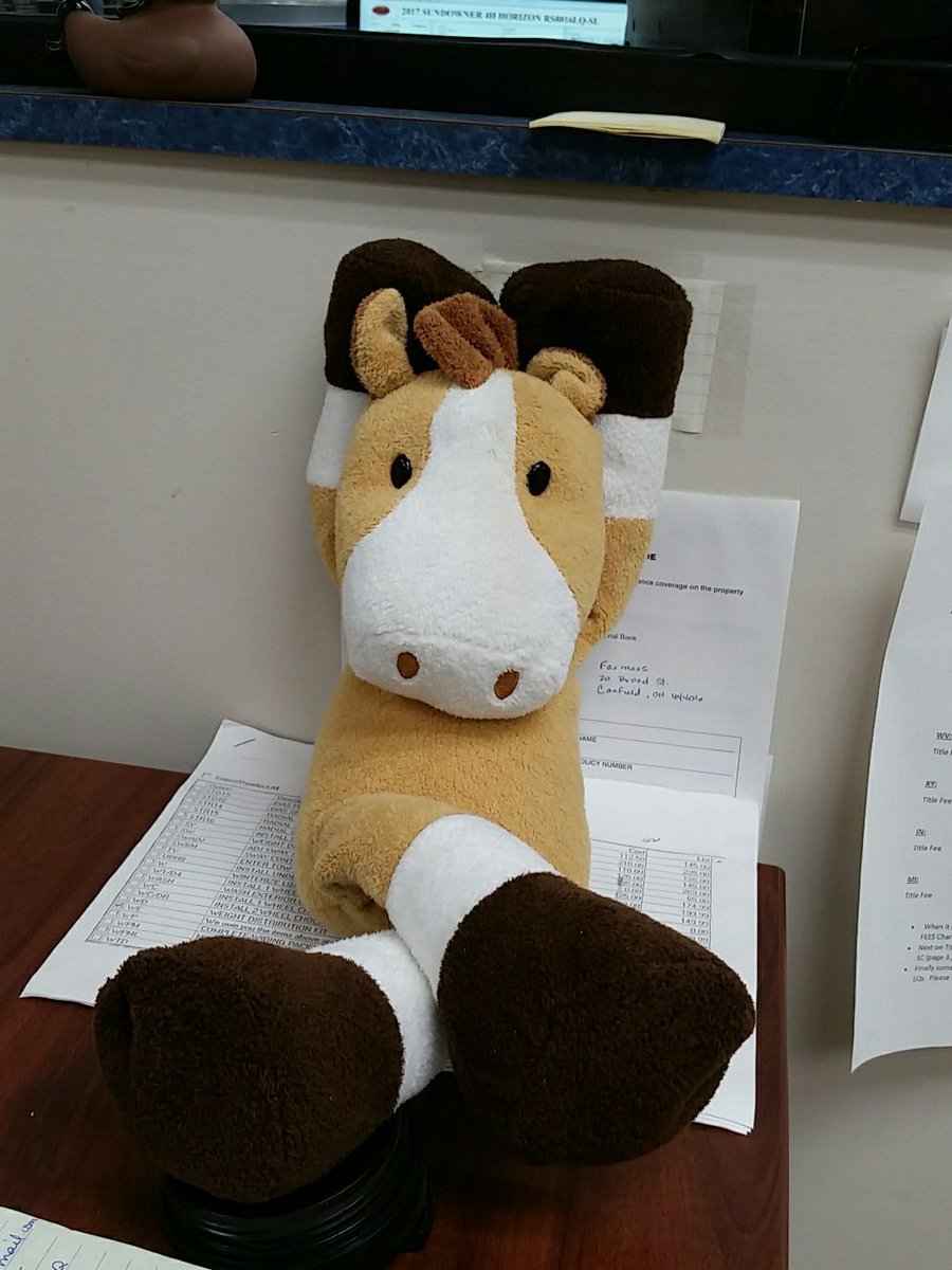 trailersaler's tweet image. Too cold outside so Leo's kickin back in the office.....