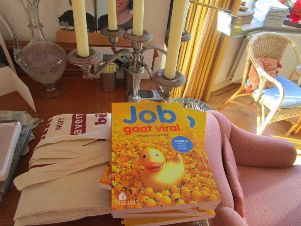 in Roelants' top10 'Job gaat viral' van Annemarie Haverkamp