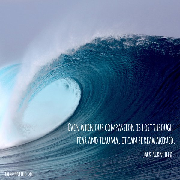 JackKornfield's tweet photo. https://t.co/xStUP1Hhiu