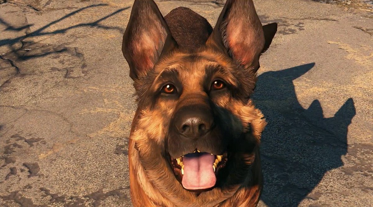 Fallout's tweet photo. Who's your favorite #Fallout4 companion? Go ahead, tell Dogmeat. No pressure. https://t.co/kcGJg4iCPv