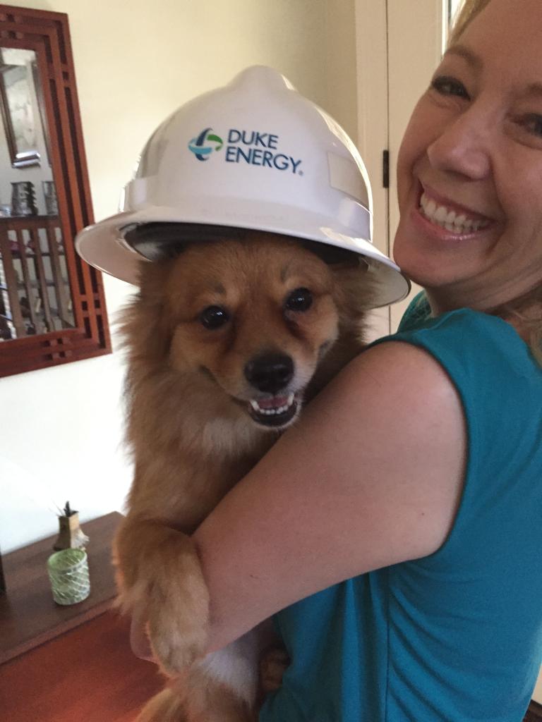 #TGIF Can’t get enough of Franz’s cuteness. He really does ❤ linemen! #ThankALineman #HugaDog