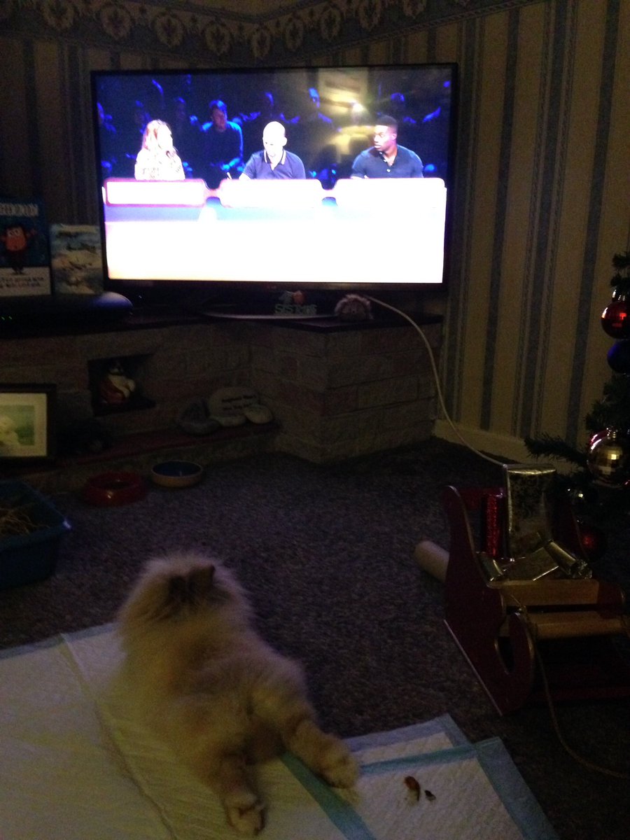 JulieFruitbat1's tweet photo. Barnaby watching #questionofsport https://t.co/cBoQS5lX5V