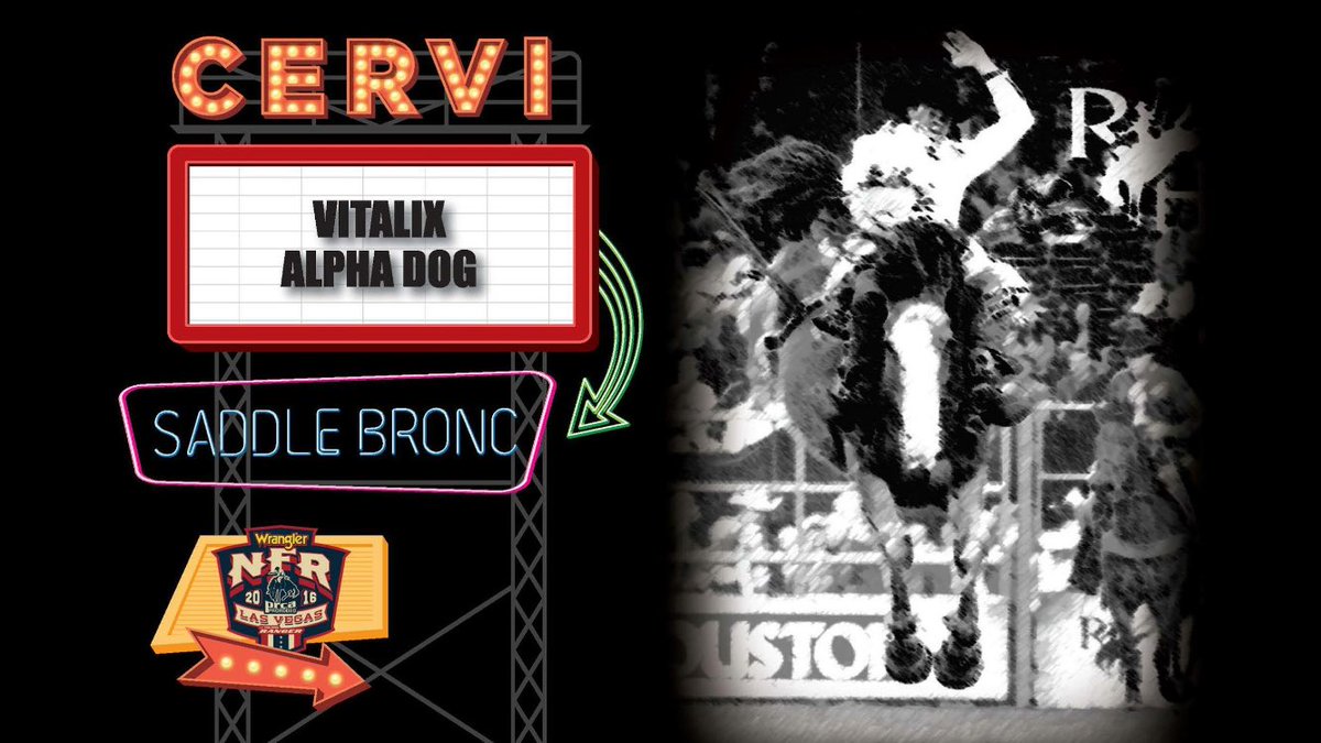 Cervi Championship Rodeo (@cervirodeo) on Twitter photo Alpha Dog gets <a href="/RyderCodyWright/">RYD</a> tonight & Wyatt Denny drew William Wallace! #NFR2016 <a href="/CinchJeans/">Cinch Jeans</a> <a href="/GreeleyHatWorks/">Greeley Hat Works®</a> <a href="/LasVegasNFR/">Wrangler National Finals Rodeo</a> #YoungGuns Alpha Dog gets <a href="/RyderCodyWright/">RYD</a> tonight & Wyatt Denny drew William Wallace! #NFR2016 <a href="/CinchJeans/">Cinch Jeans</a> <a href="/GreeleyHatWorks/">Greeley Hat Works®</a> <a href="/LasVegasNFR/">Wrangler National Finals Rodeo</a> #YoungGuns