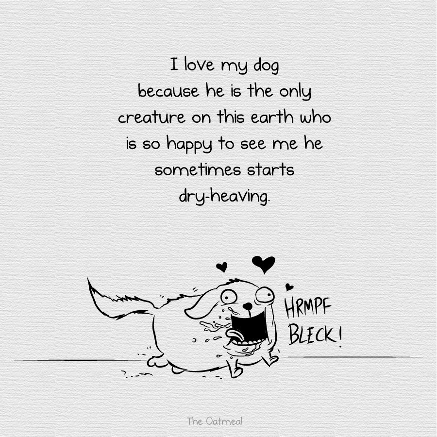 Why Is My Dog Dry Heaving