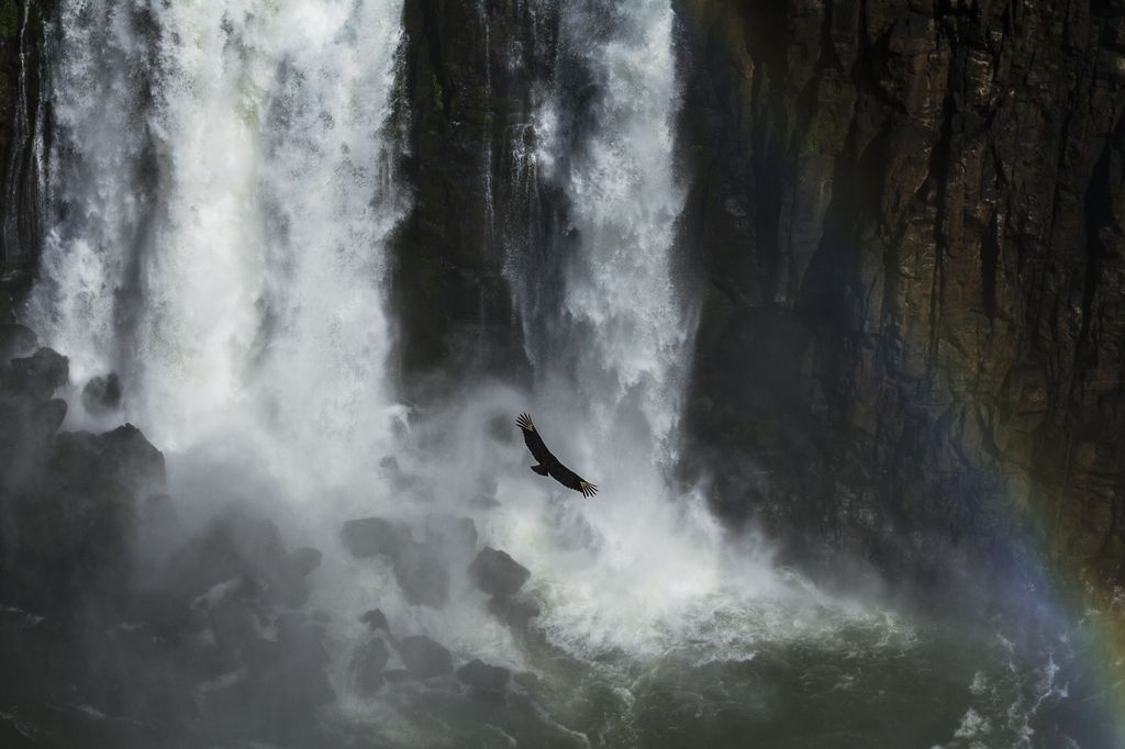 Iguazú Falls.