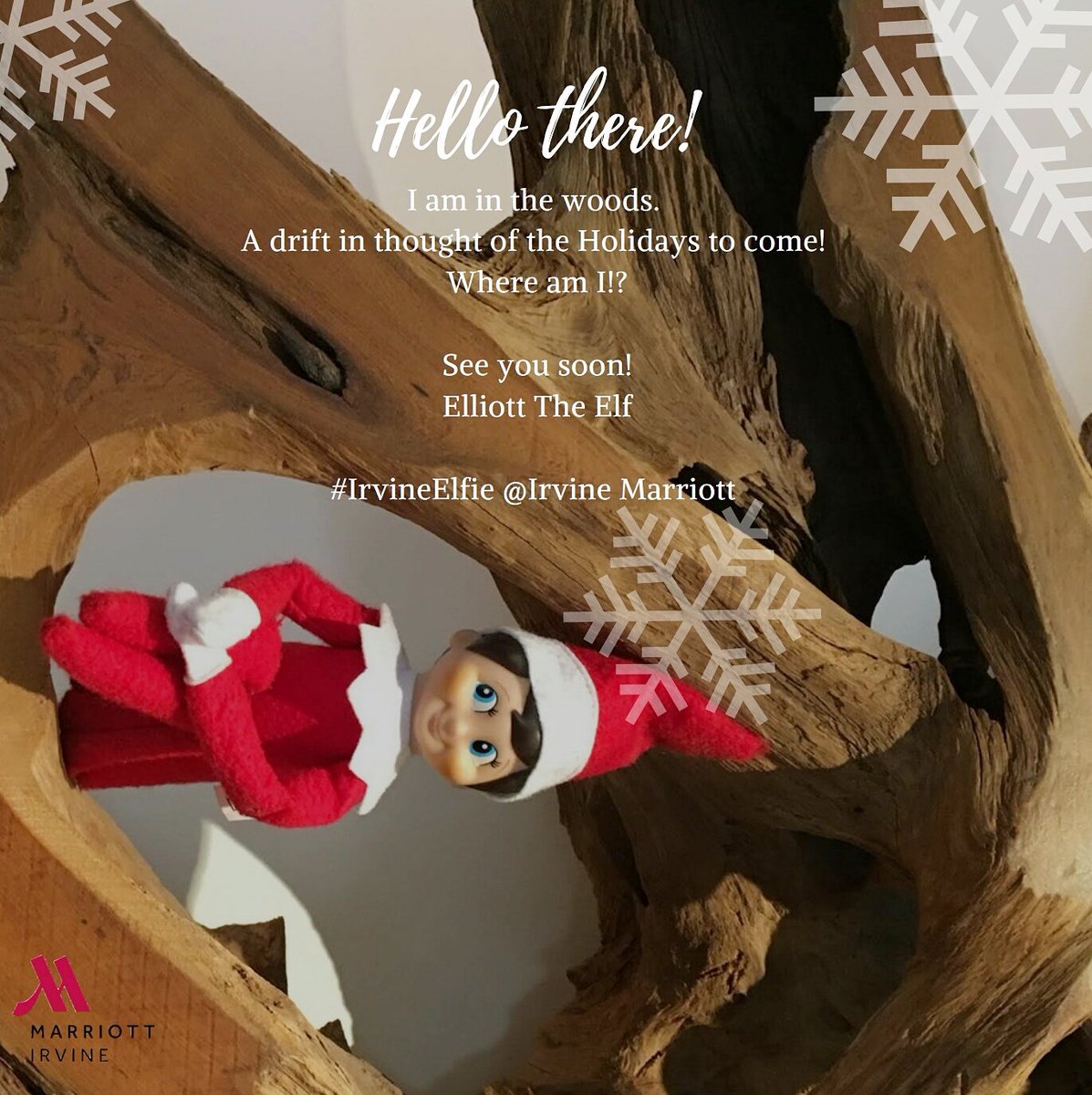 IrvineMarriott's tweet photo. Elliott the Elf will be spending the next few days here! Take your #IrvineElfie &amp; win a complimentary #cocktail this #weekend ! #Clue3 https://t.co/NBe4wLurNT