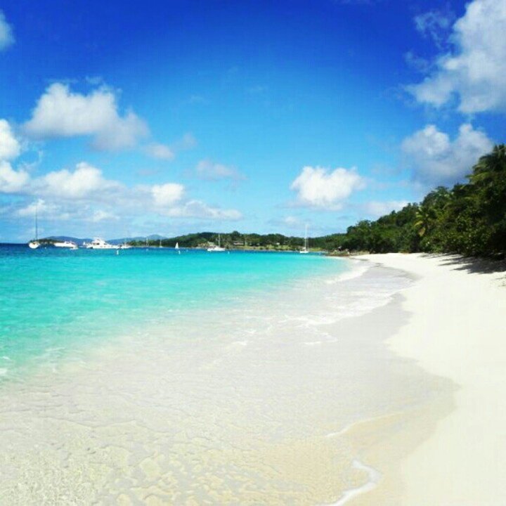 Caneel_Bay's tweet photo. Take a short walk to experience Honeymoon Beach #stjohn #usvi #caneelbay #travel #fridayfeeling https://t.co/mBa6nwyuwD