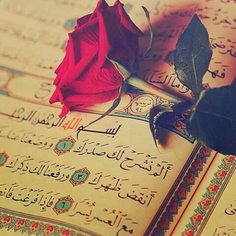 ff_1fo's tweet photo. ﴿ ألم نشرح لك صدرك ﴾
🌹🌷🌷
اللهم بعُمق هذه الآيه
اشرح صدوُرنا وأرح قلوبنا وأزل همومنا إنّك على كلّ شيء قدير
❤️❤️ https://t.co/GmfMR0WESy
