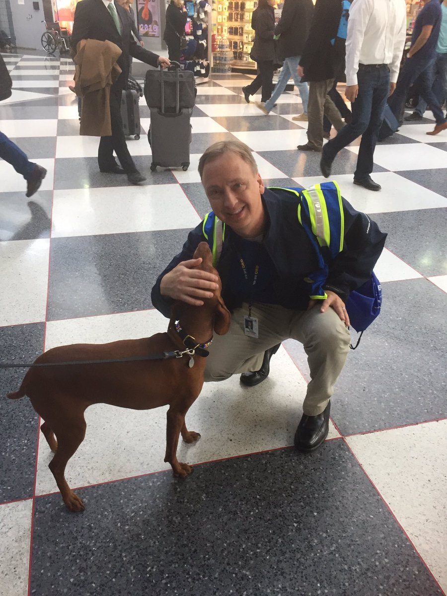 Ted saying hello to one of our adorable customers. 🐶 #beingunited @weareunited