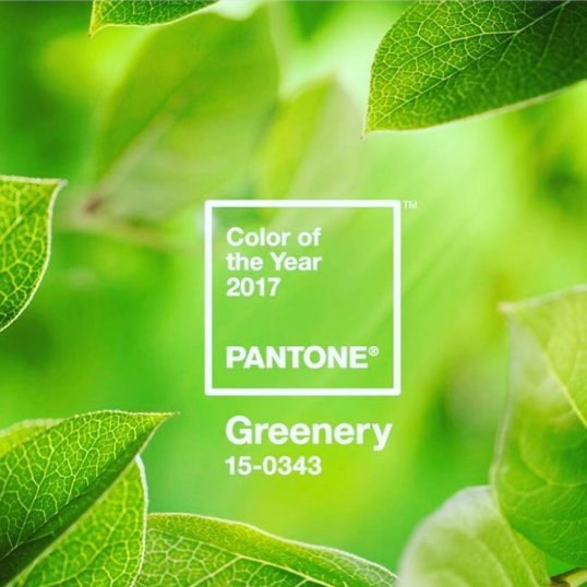 TheWeddingCat's tweet image. Pantone Announces that ‘Greenery’ Will be 2017’s Color of the Year bit.ly/2gk20Q0 #colorinfluence #Greenery #weddingcolors