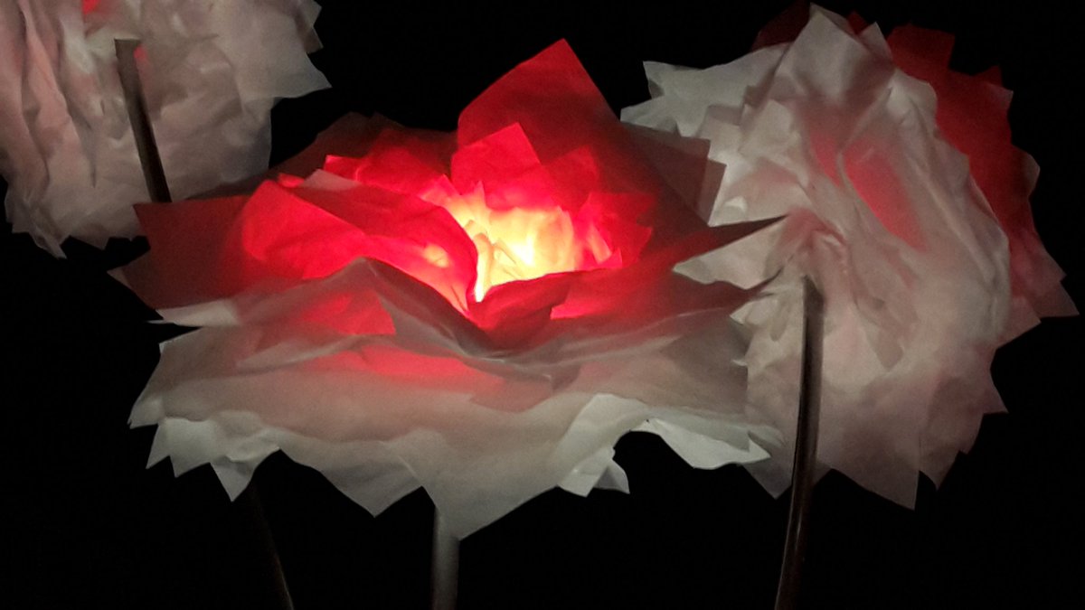 MuseExtatique's tweet photo. Superbes fleurs dans un jardin de lumière  #FeteDesLumieres https://t.co/OOLFWfqte8