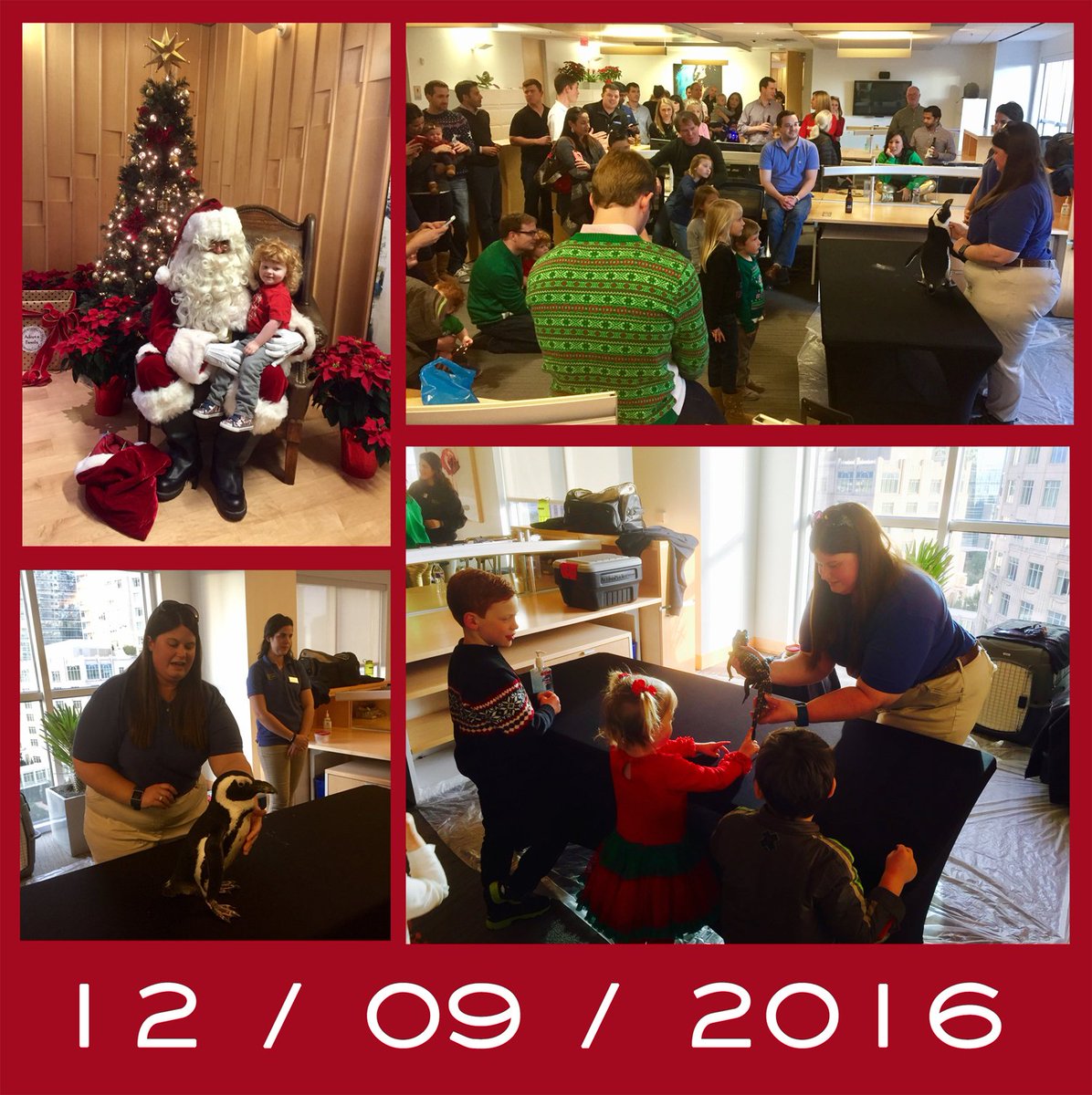 James Dondero (JamesDondero) Twitter