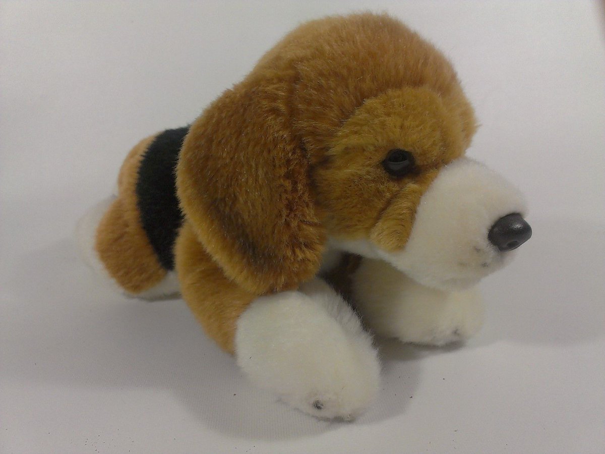 webkinz signature beagle