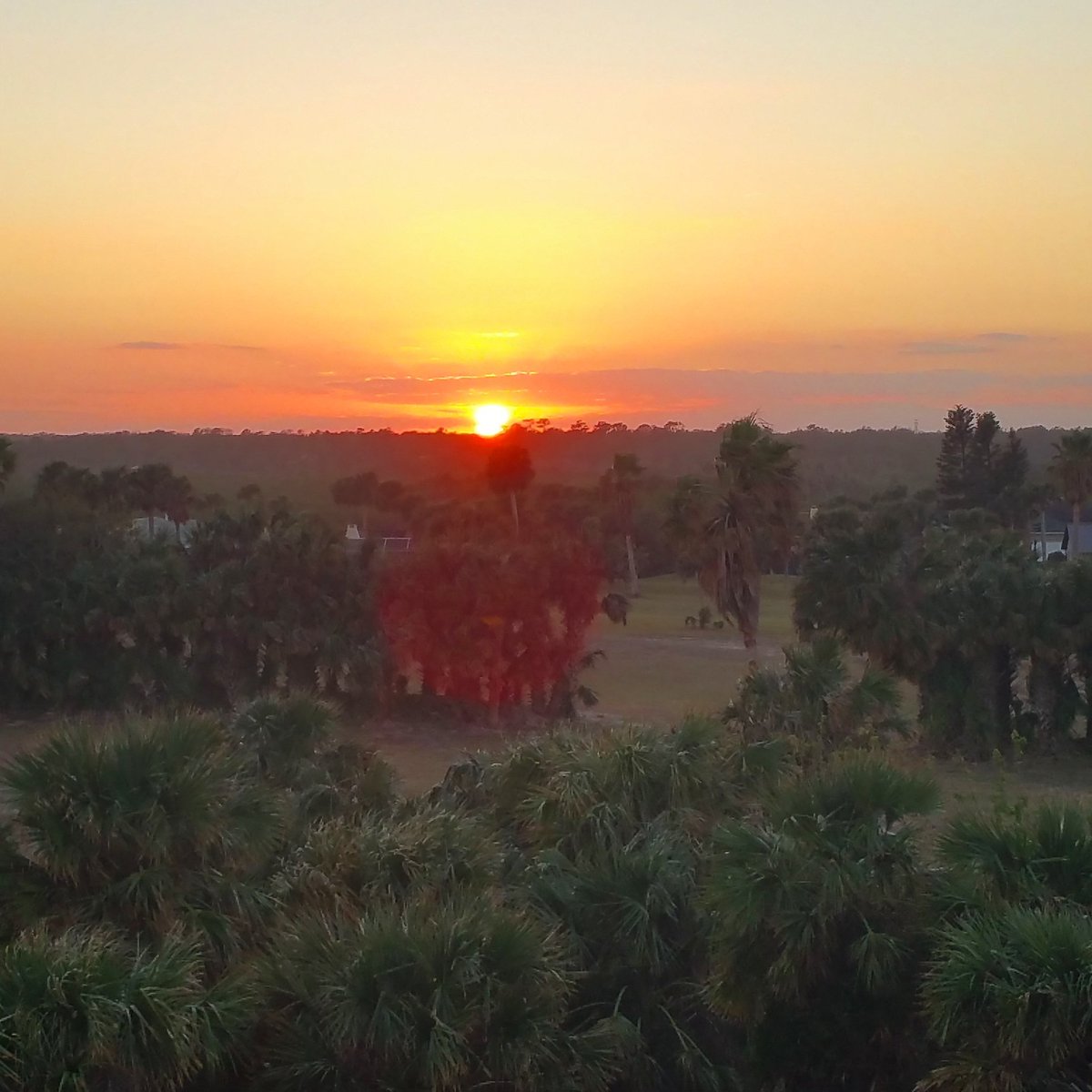 Darryl Flowers tweet media