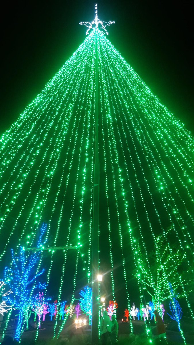 NewsChannel10's tweet image. Here's a list of some of the best Christmas light displays in Amarillo. 

NC10: buff.ly/2gk3Yj3