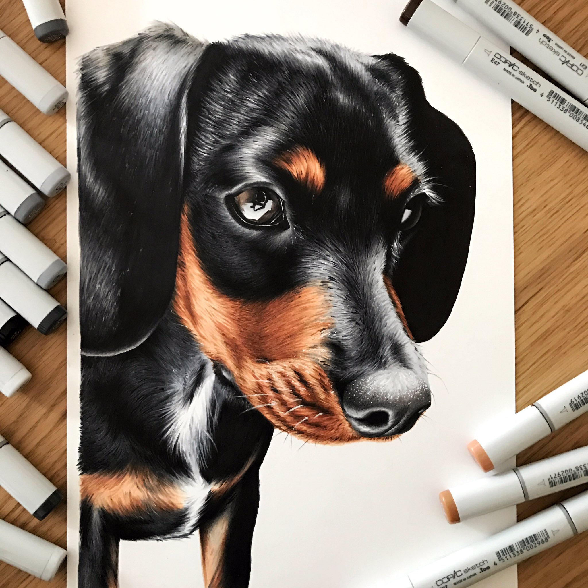 Ward Art on Twitter: "Drawing of Ollie 🐶😁 90% drawn with @copicmarker ✏️ black and white pencils for extra detail and white gel pen for highlights.