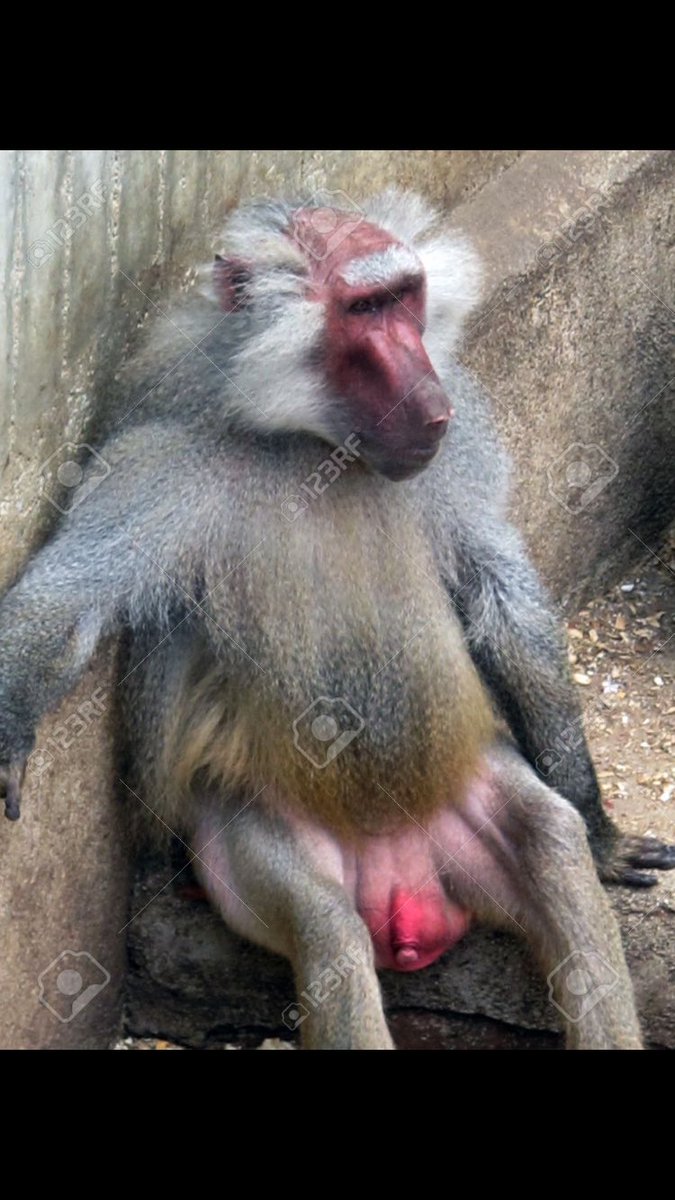 _Zwadsky_'s tweet photo. Chezzs nudes https://t.co/Cc3ZLTRB1a