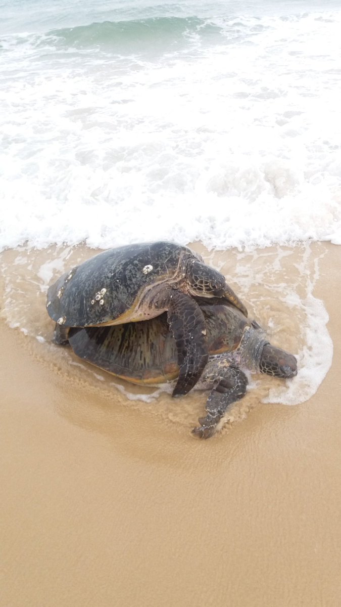 viktorfarback's tweet image. Love is in the air