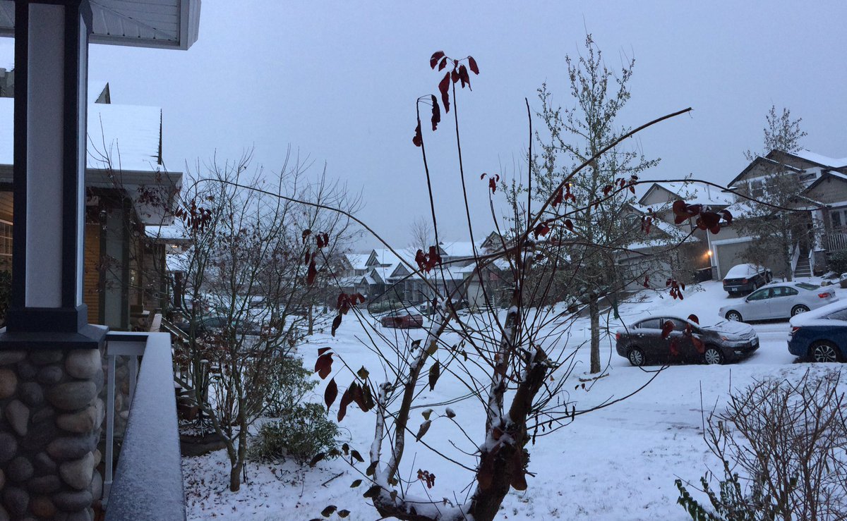 Snowy day. Heavy snow warning today till Monday