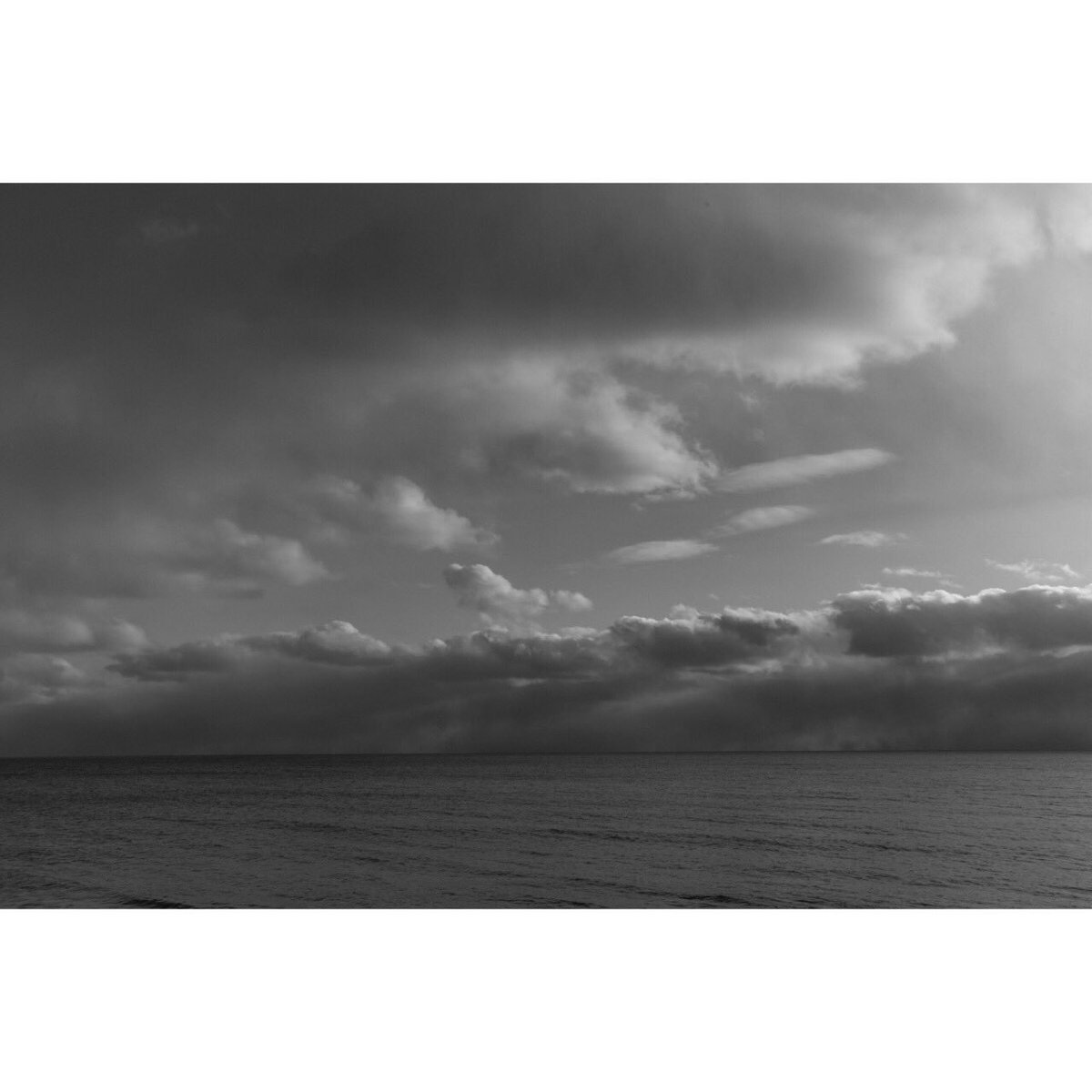 Johnny C Y Lam tweet media