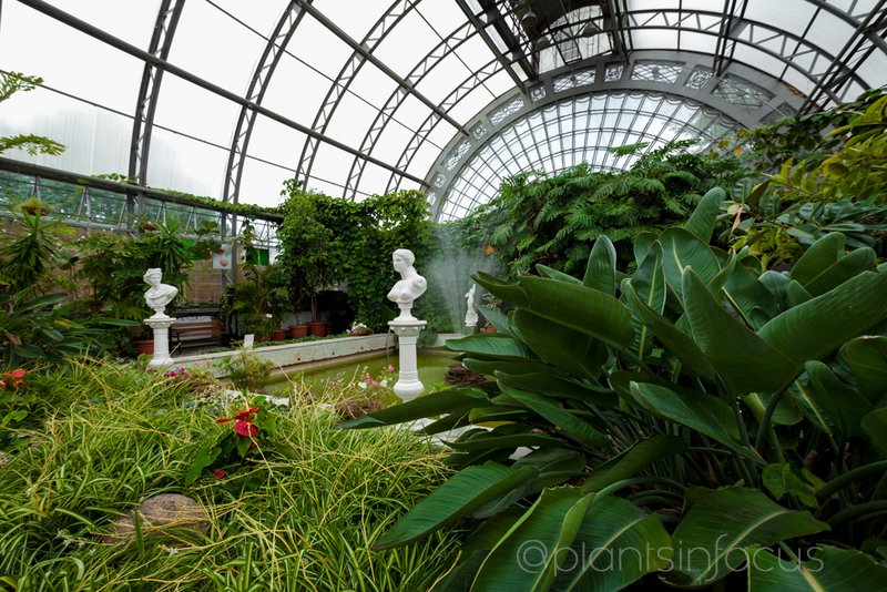 ✔<a href="/plantsinfocus/">plantsinfocus</a> ✔#plantsinfocus ✔#greenhouse #plantspo #plantlife #botanical #greenplants #cactus #botanicalgarden #palms #tropicalplants