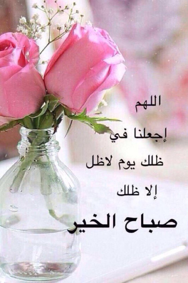 msafer124's tweet photo. https://t.co/zX4FqS6ADc