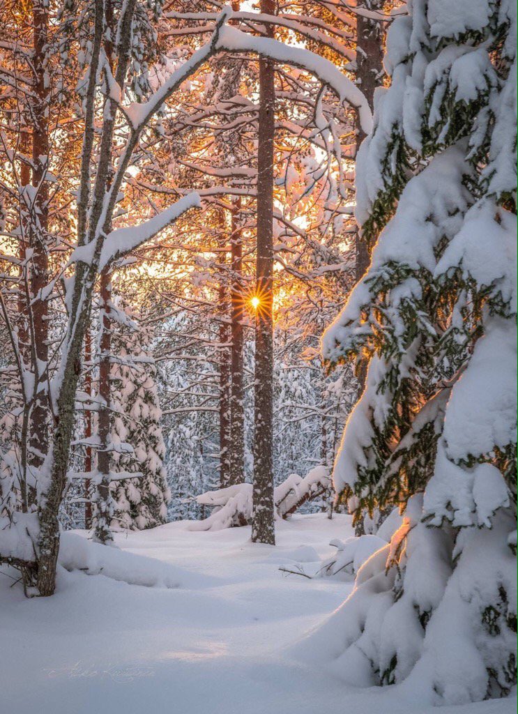 vincentmenezes's tweet photo. #CoolWinterMorning... ❄️
#Finland.
#GoodMorningTwitterati! ☀️
#HappyWeekend! https://t.co/Vu7Ry6utDO