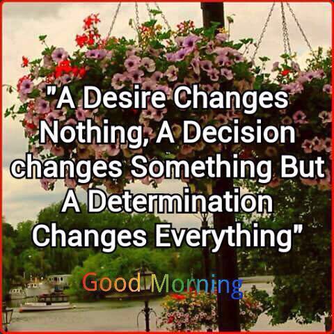 New Age Wellness (@newagewellnesss) on Twitter photo 