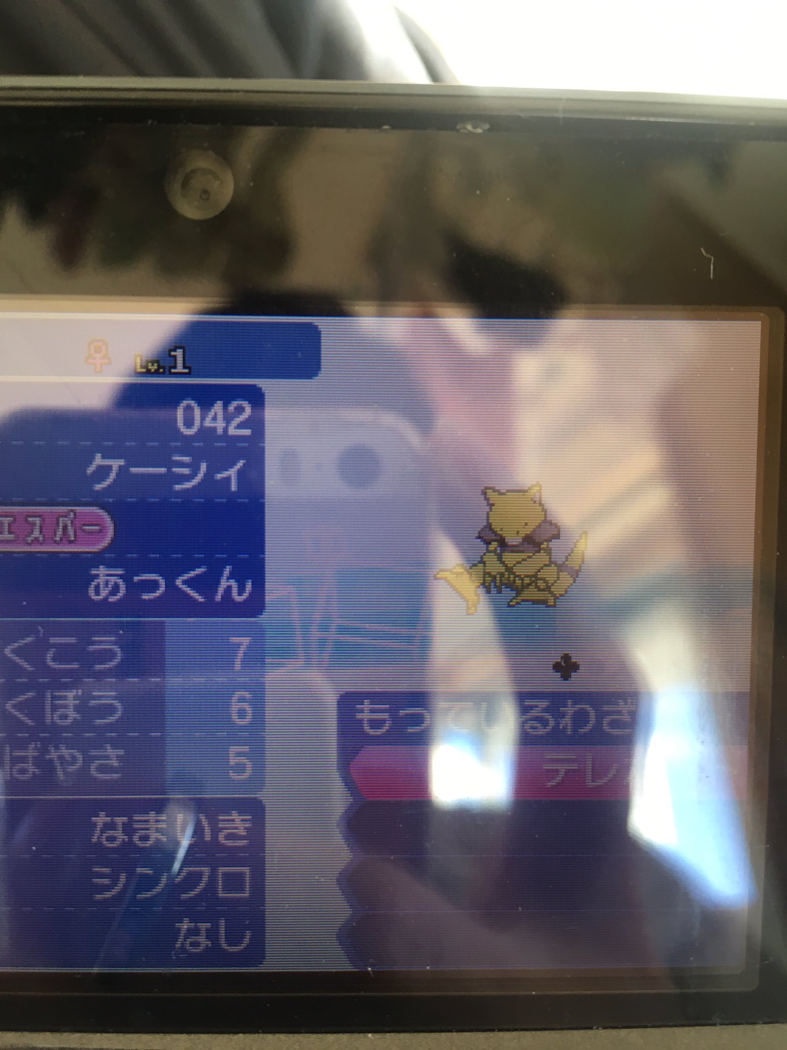 シンクロケーシィ Twitter Search Twitter