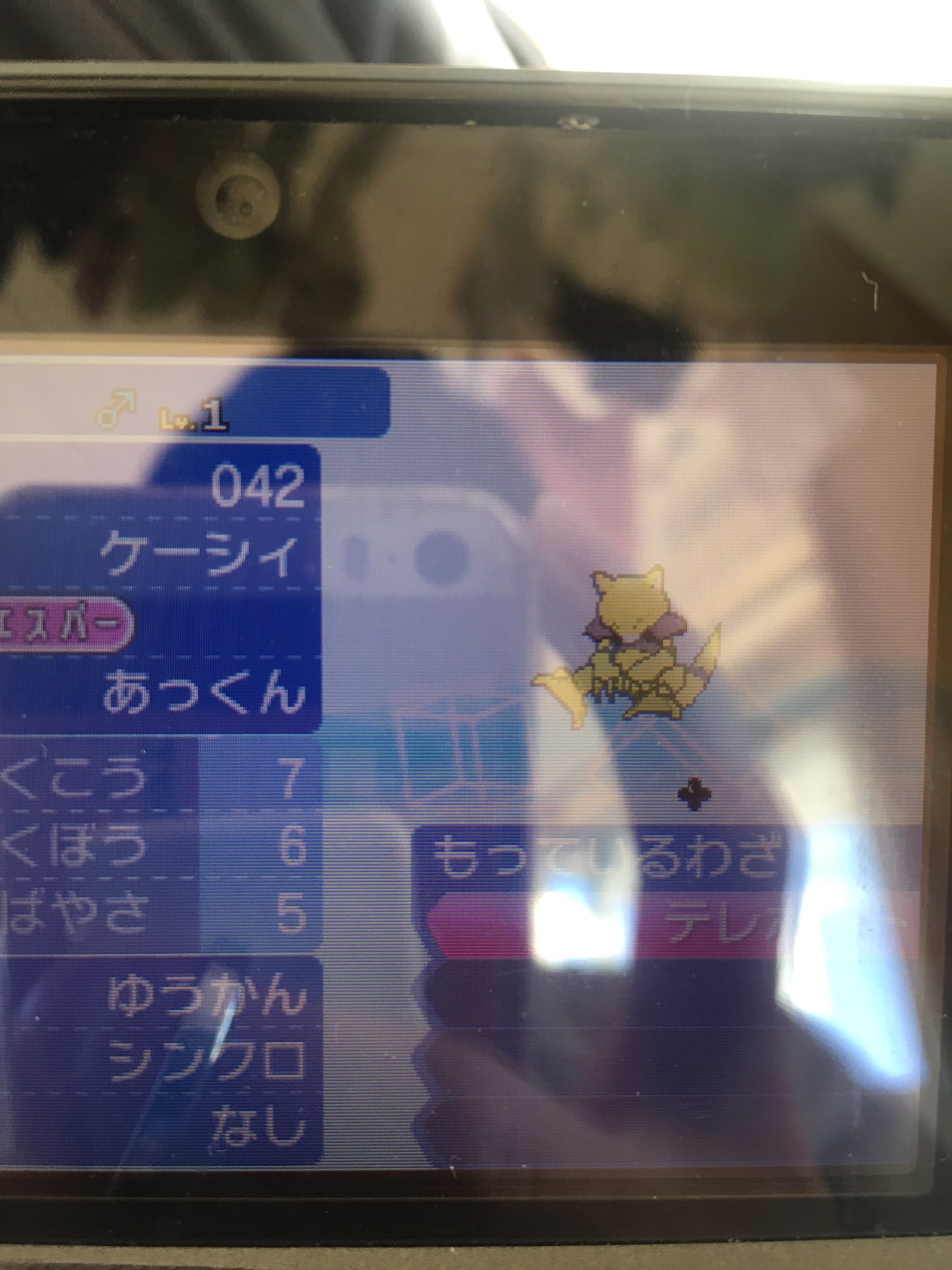 シンクロケーシィ Twitter Search Twitter