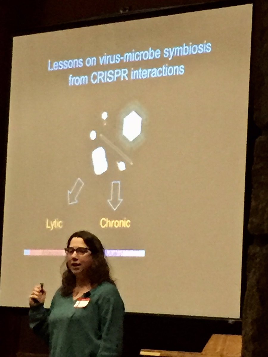 markowenmartin's tweet photo. Rachel Whittaker (UI-UC) explains how to use CRISPR to study host-virus interactions. #WCBP2016 https://t.co/YxtrEWmX6Y