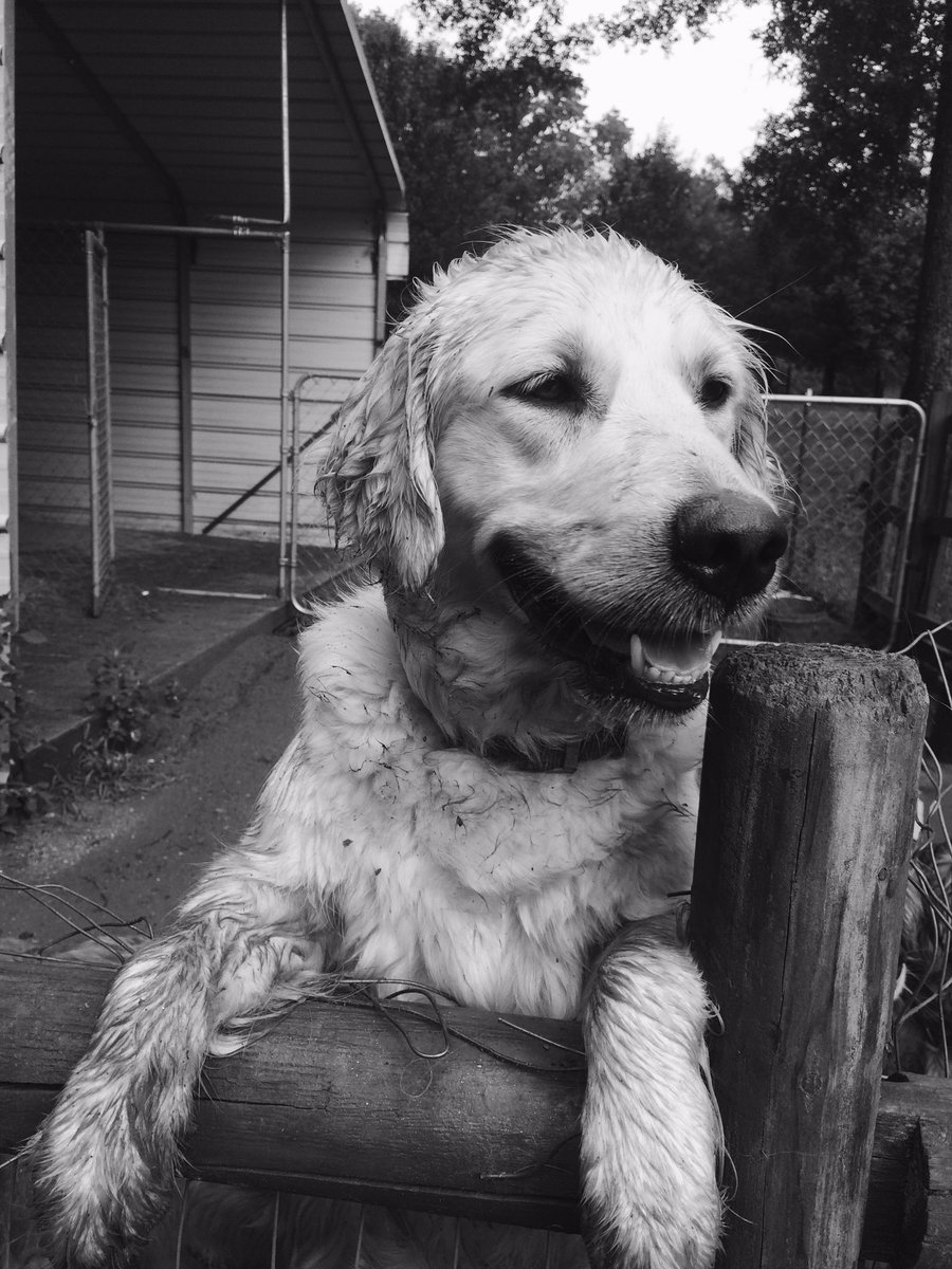 SydneyPalmtrees's tweet image. @hvalitmag #LMchallenge