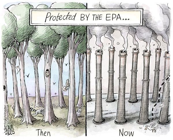 realJonRiley's tweet photo. Trump &amp; his climate change denying EPA nominee Scott Pruitt just want to protect the little guys, like asbestos manufacturers. https://t.co/VvFWS3JKZ5