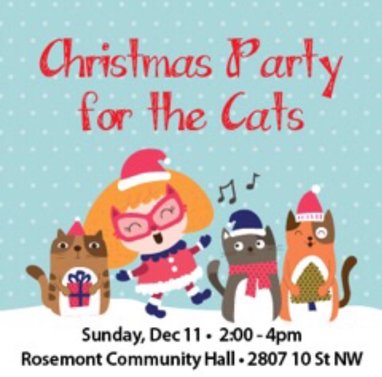MEOWFoundation's tweet image. You're invited🎄Please share! We'll have refreshments, goodies and 🎁 for the cats and humans in your life! Details @ Meowfoundation.com