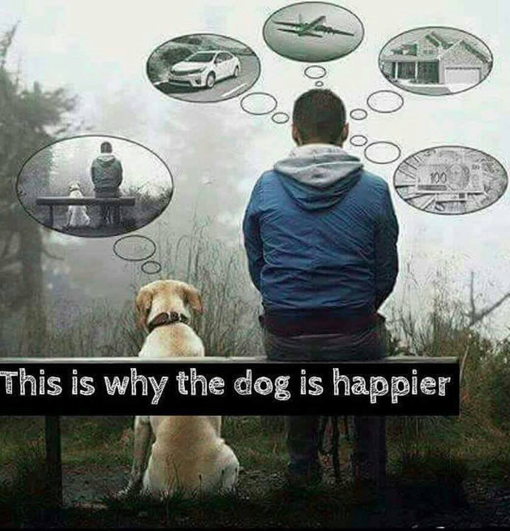 liferetailers's tweet photo. To be #happy Live in the #present moment.
Follow #LifeRetailers https://t.co/lVHsZIdKxw