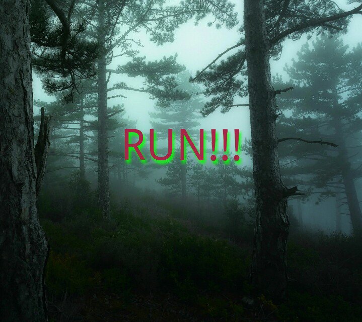 quinn_hannivan's tweet image. 