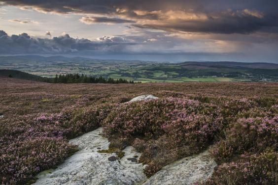 Simonside in #Northumberland is the place for #stargazing says the <a href="/Independent/">The Independent</a>
buff.ly/2hmRb4l
#NlandStars