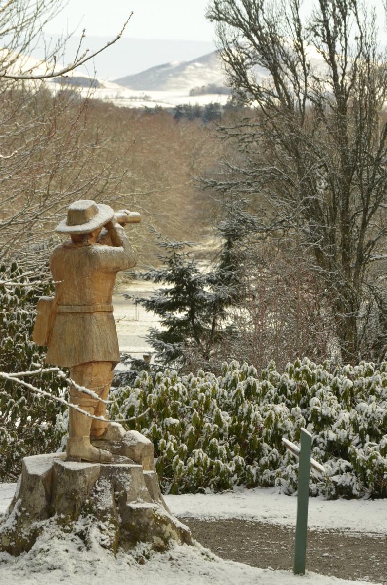 Pebblean's tweet image. March 2016 at Dawyck Botanic Garden #DavidDouglas #BotanicGarden #ScottishBorders @Dawyck @TheBotanics