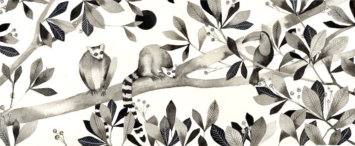 Naughty #lemurs wishing you a sweet weekend 🌿 #toucan #animalIllustration #watercolours #acrylicInks #etsyseller #EtsyUk