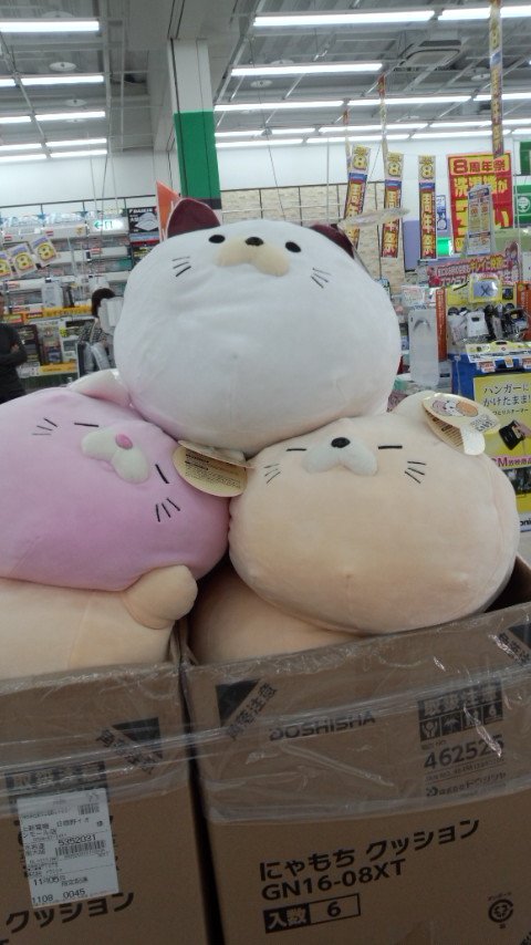 higumayamakei く、なんたるモフモフ！！今日は画像のうちのピンクの