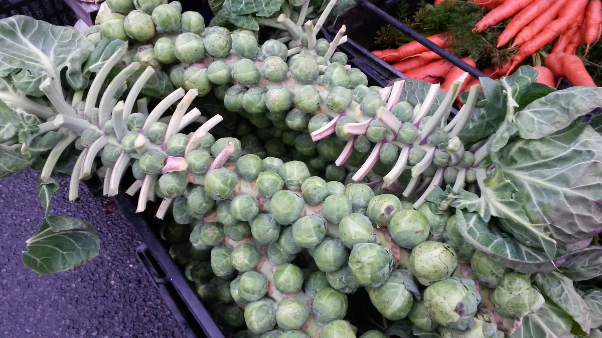 Lt.Chalfont Farm Mkt tweet media