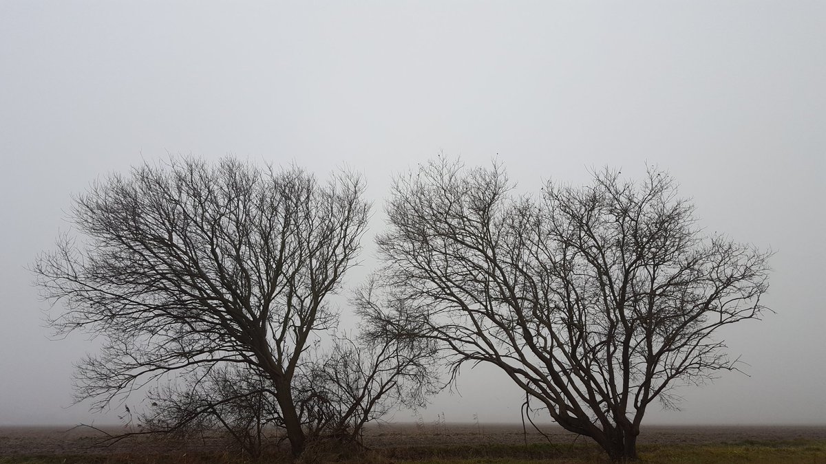 Havenlust's tweet photo. So happy in Zeeland Today 💗
#art #socialmedia #travel #writing #fitbit #fog #samsung #buienradar #lonelyplanet #earthandclouds #love #You https://t.co/bHnRlJEhna