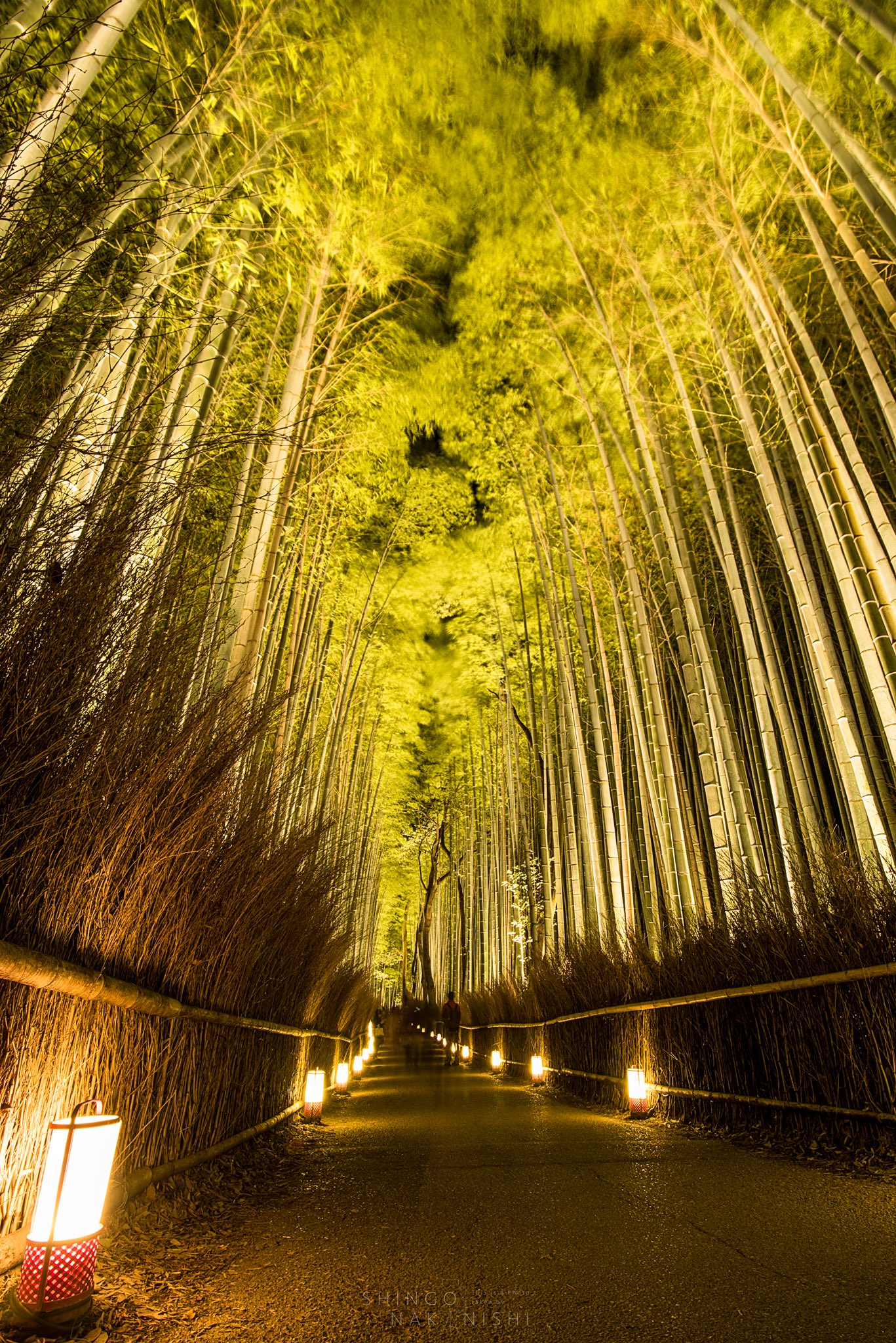 しんご No Twitter 嵐山 花灯路 昨夜から始まった 嵐山花灯路 嵐山の夜がドラマチックにライトアップされます 特に竹林の道の ライトアップは本当に美しいのでぜひ一度は行ってみて欲しいです 18日まで 京都 嵐山花灯路 T Co Efx2gihjan Twitter