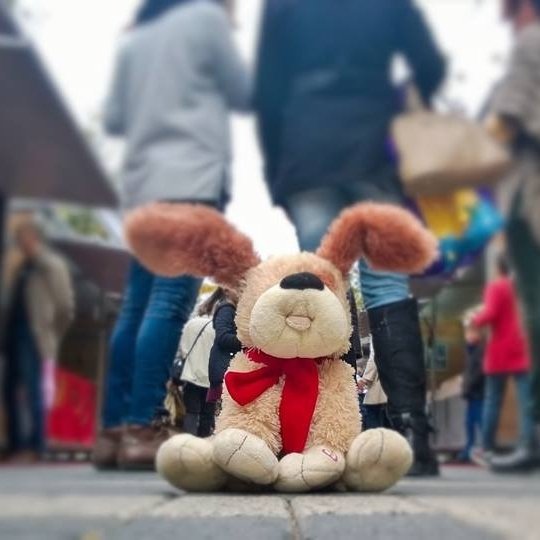 bartleojozefbus's tweet image. #FiraNadalXixona #love #photooftheday #smile #picoftheday #instadaily #bestoftheday #colorful